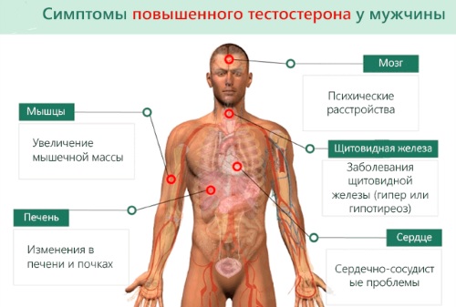 Факторы, влияющие на уровень тестостерона у мужчин