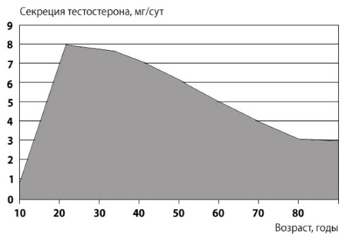 Факторы, влияющие на уровень тестостерона у мужчин