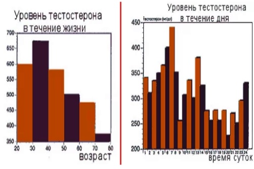 Факторы, влияющие на уровень тестостерона у мужчин