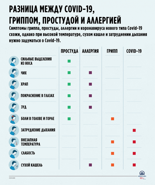 Перечень основных симптомов коронавируса (COVID-19): как проявляется, когда нужно делать тест