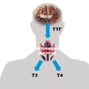 LabQuest — лаборатория высоких технологий: качество в каждом анализе